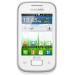 Samsung Galaxy Pocket Duos S5302 White